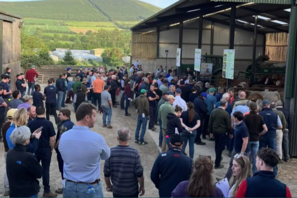 ABP Ireland supports Wicklow farm walk